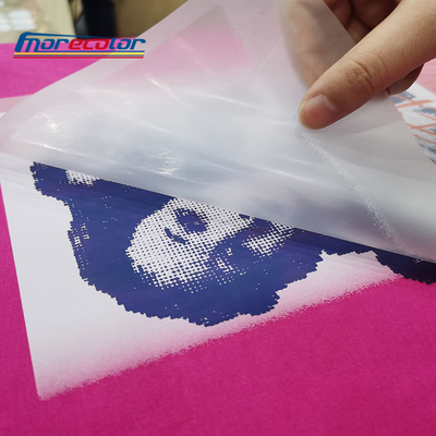 Film multiple d'ANIMAL FAMILIER d'extrusion DTF 33cm 60cm pour l'imprimante d'Epson I4720 I3200 DTF